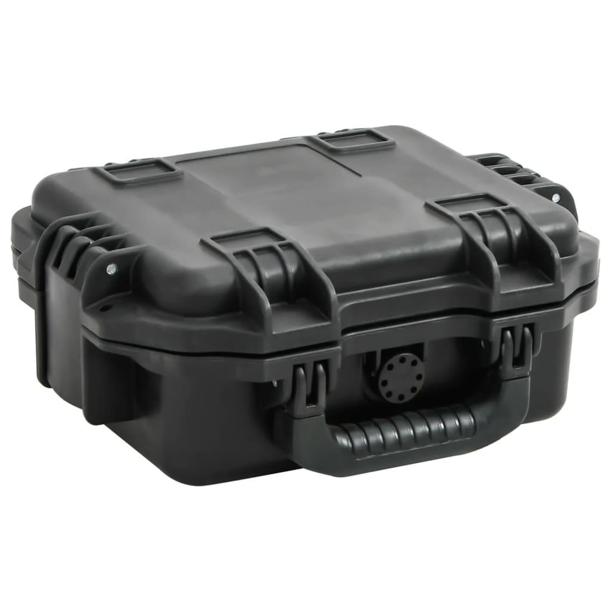 VIDAXL Valise de vol portable Noir 30x24,5x12,5 cm PP