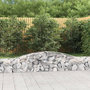 Voir la diapositive 1 : VIDAXL Panier de gabions arque 400x30x40/60 cm Fer galvanise