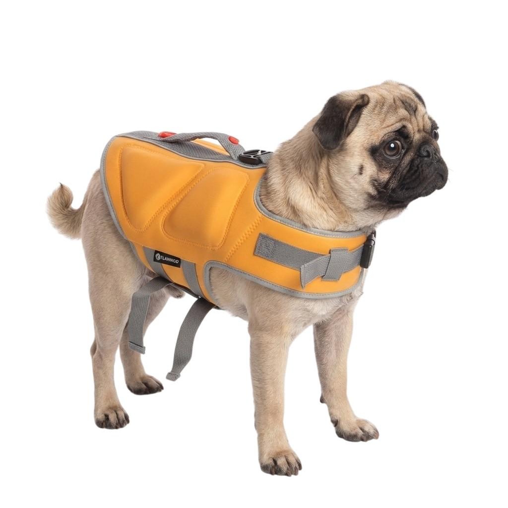 Voir la diapositive 1 : Eden Gilet de sauvetage réglable pour chien swimmy