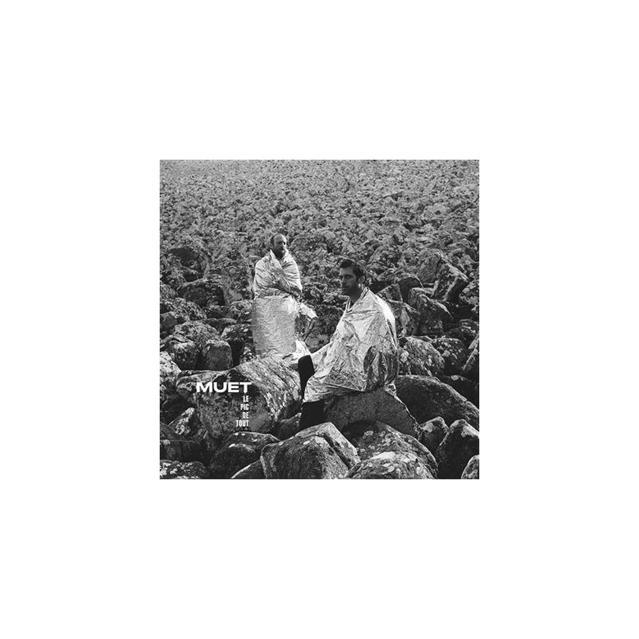 Vinyl lp album vinyle muet le pic de tout - rock indépendant - 10 titres - 1 disque noir et blanc