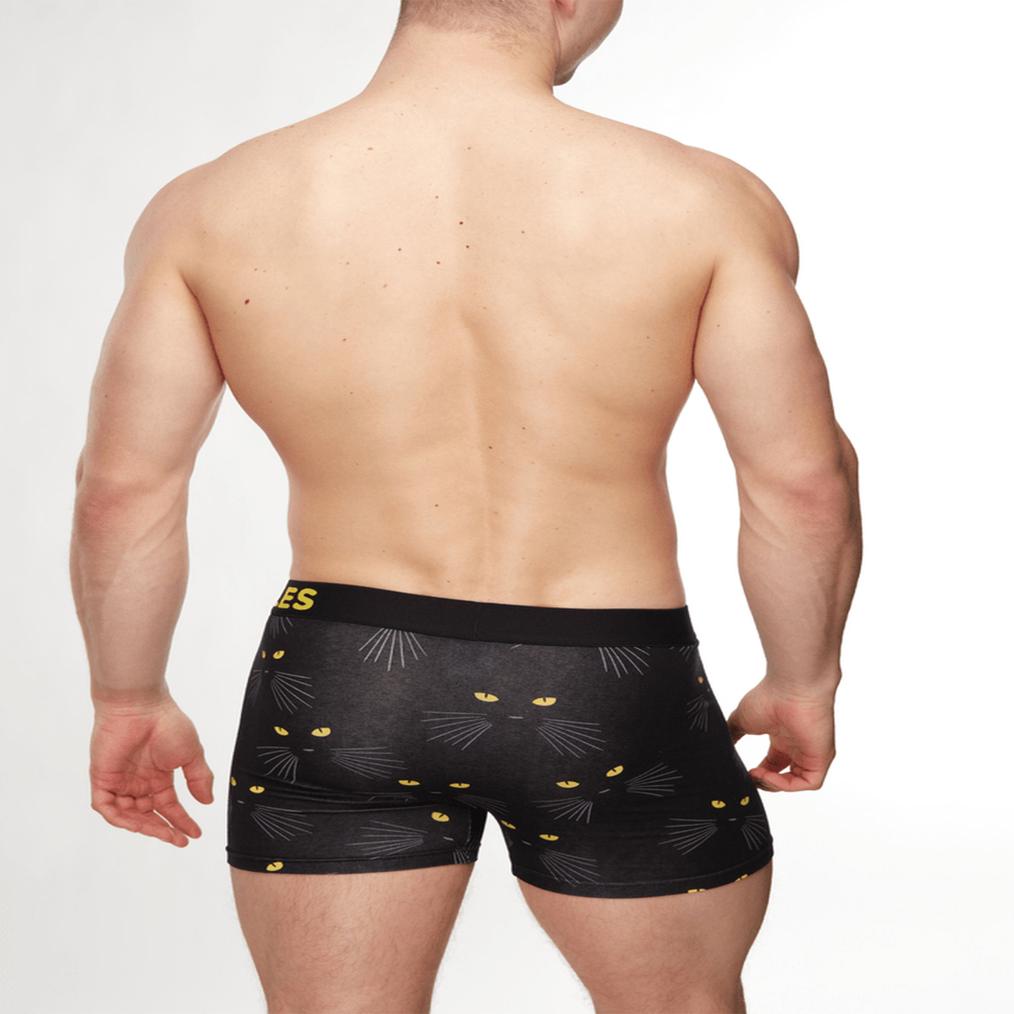 Voir la diapositive 4 : DEDOLES Boxer homme les yeux de chat