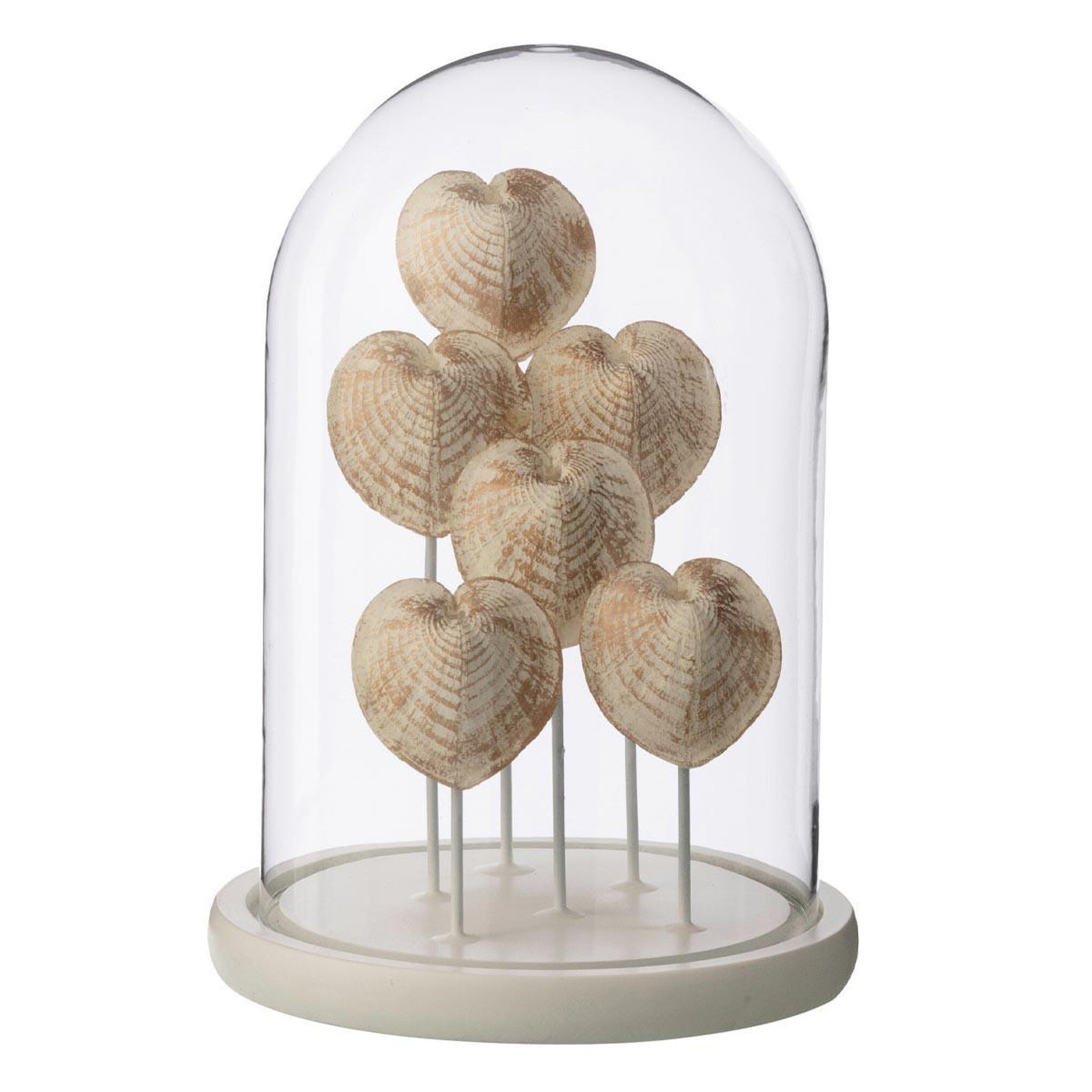 J-LINE Cloche déco en verre  coquillage  26cm bronze