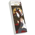 MARQUE-PAGES BRILLANTS A COLORIER HARRY POTTER, Playbac