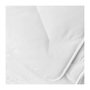Voir la diapositive 4 : Toison d'or TOISON D'OR - Couette Bamboo tempérée (300g/m²) - 240x260cm - Chaleur tempérée - Viscose de bambou - 2 personnes - Blanc