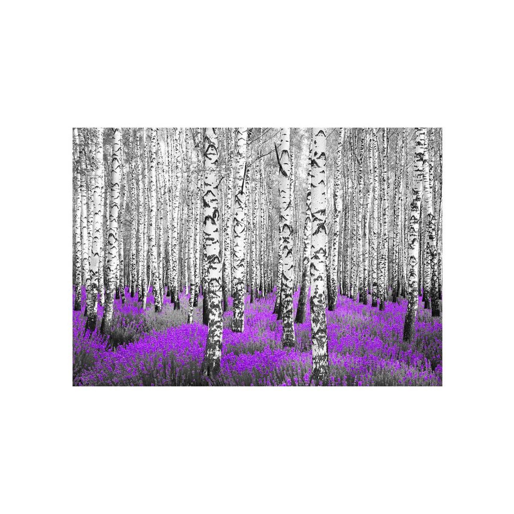 Voir la diapositive 2 : Paris Prix Papier peint  purple asylum