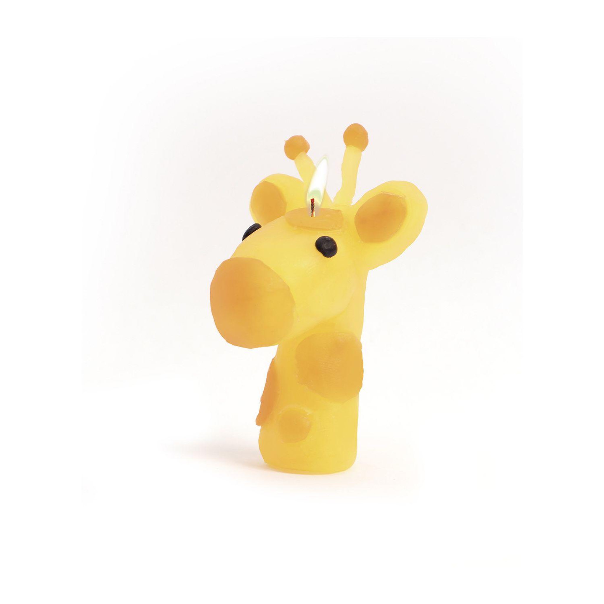 Voir la diapositive 5 : Graine créative Kit bougies a modeler - Animaux sauvages