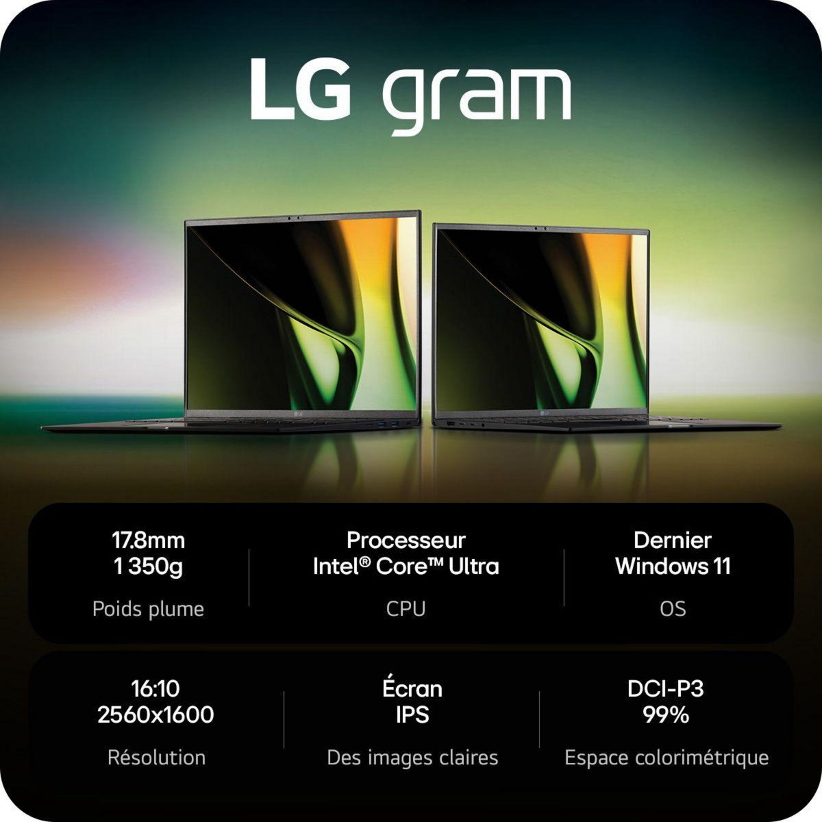 LG Ordinateur portable GRAM 17Z90S-G.AA78F EVO