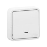 Schneider Electric Poussoir étanche lumineux encastrable Mureva Styl, en ABS Blanc