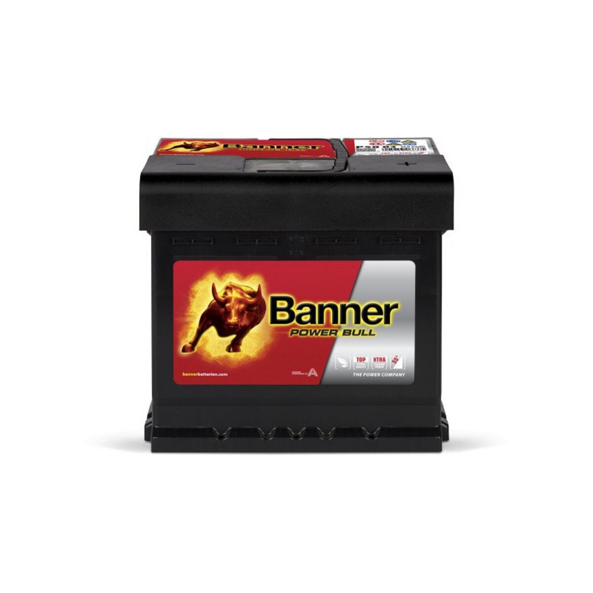 BANNER Banner Power Bull P5003 12v 50AH 450A