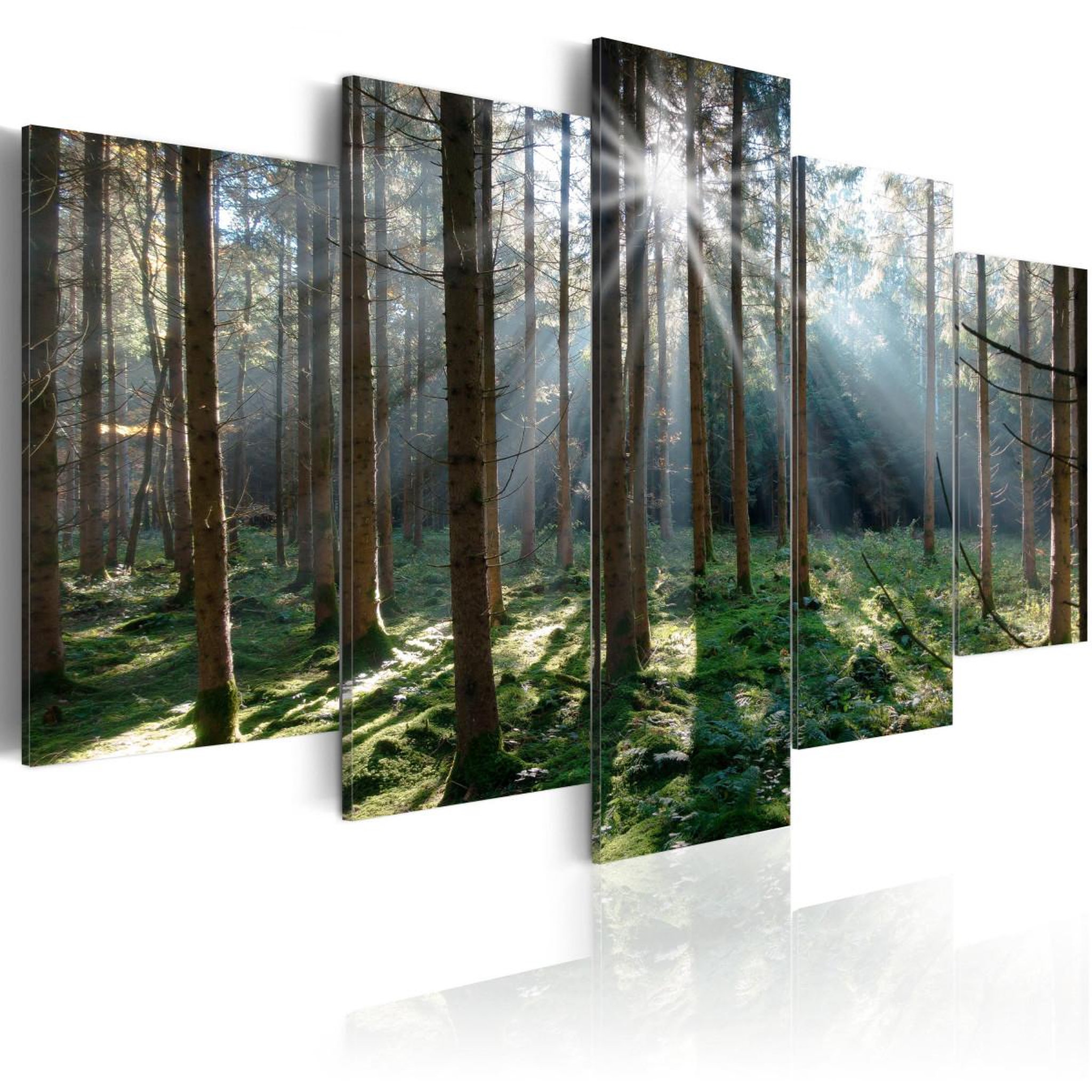 Voir la diapositive 1 : Paris Prix Tableau Imprimé  Fairytale Forest