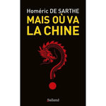 MAIS OU VA LA CHINE ? ETAT DES LIEUX ET TIPS POUR REUSSIR DANS L'EMPIRE DU MILIEU, Sarthe Homéric de