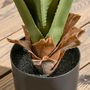 Voir la diapositive 6 : OUTSUNNY Plante artificielle agave H.90 cm 16 feuilles tronc grand réalisme pot inclus