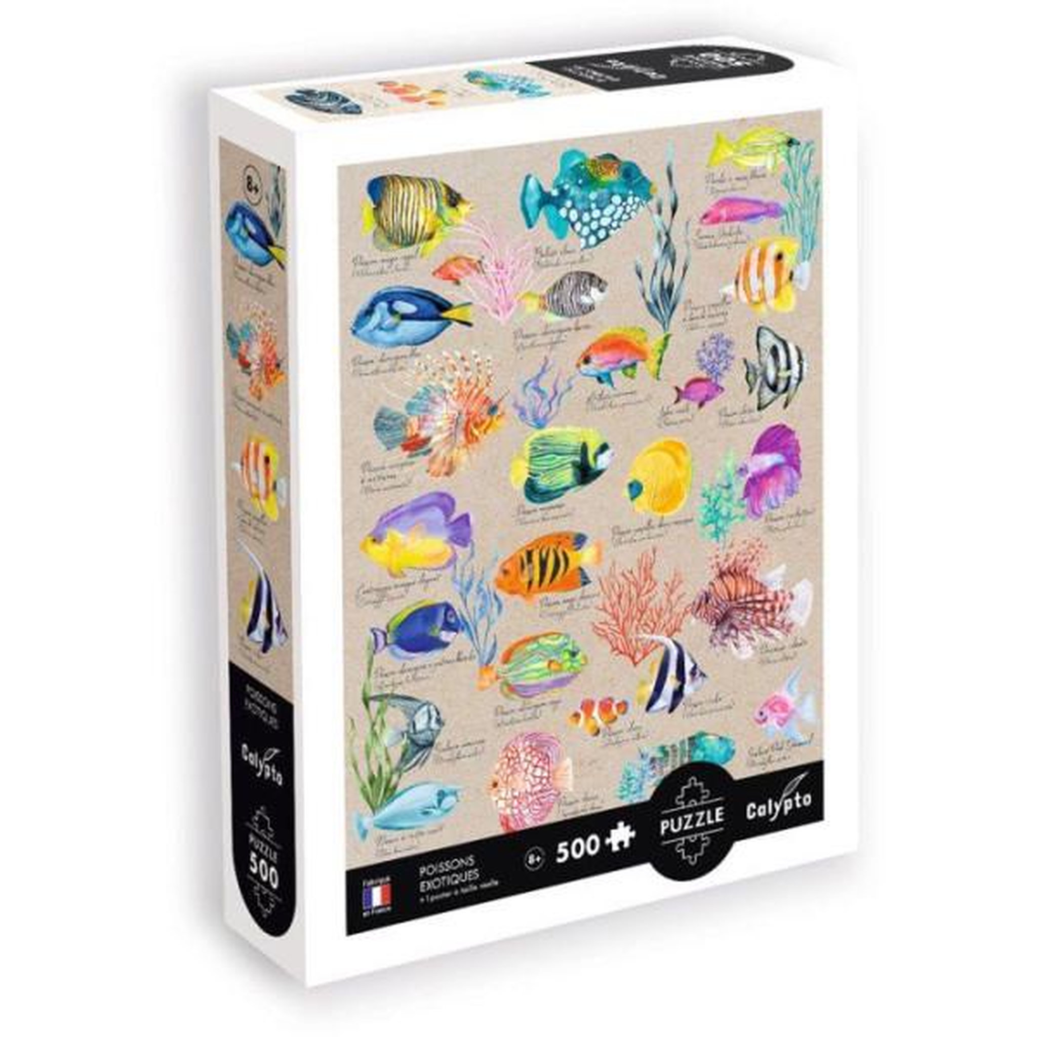Sentosphere Puzzle - sentosphere - calypto - 500 pieces - poissons exotiques - toucher soyeux - des 8 ans