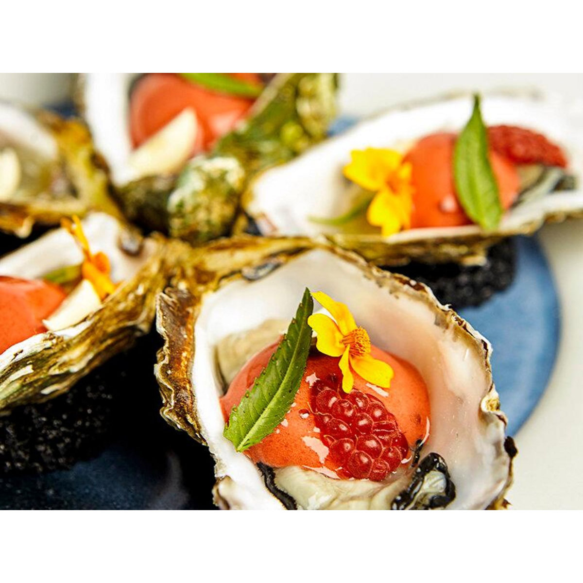 Smartbox Adresses primées : menu 8 plats au restaurant La Scène Thélème à Paris - Coffret Cadeau Gastronomie