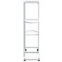Voir la diapositive 4 : VIDAXL Jardiniere a 4 niveaux avec roues 44x23x80 cm Blanc Fer