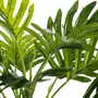ATMOSPHERA Plante Artificielle en Pot  Palmier  28cm Vert