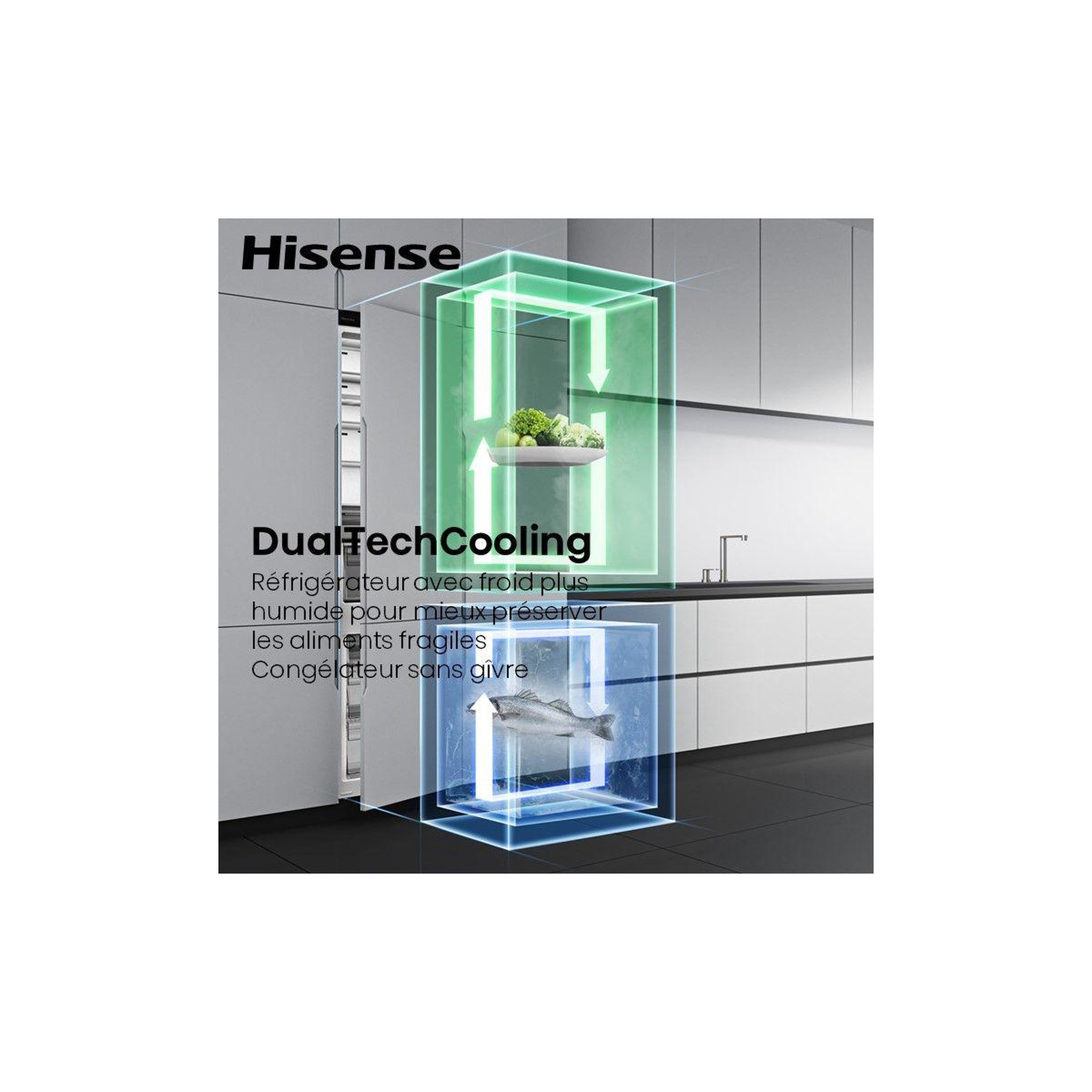 Voir la diapositive 5 : Hisense Réfrigérateur combiné encastrable rb5b250sswd1