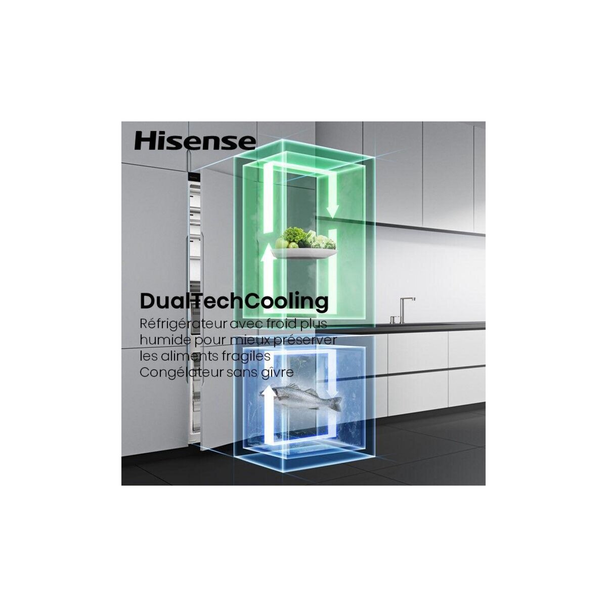 Hisense Réfrigérateur combiné encastrable RB5B250SSWD1