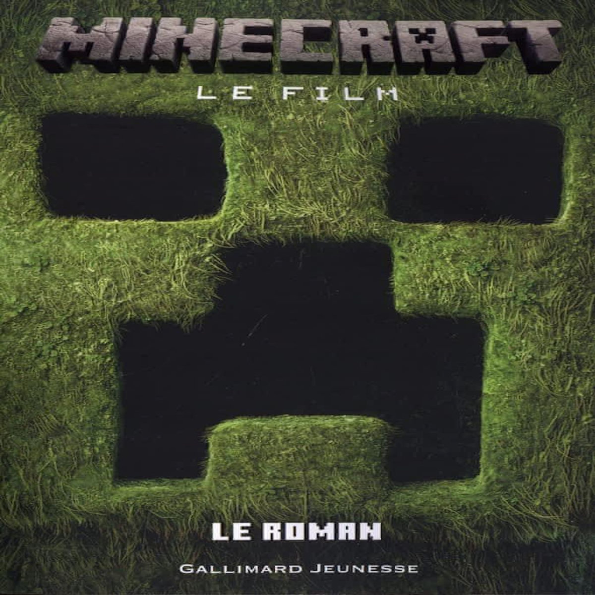 MINECRAFT, LE FILM, Lewman David