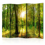 Paris Prix Paravent 5 Volets  Forest Rays  172x225cm