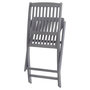 Voir la diapositive 4 : VIDAXL Chaises pliables d'exterieur lot de 8 et coussins Bois d'acacia