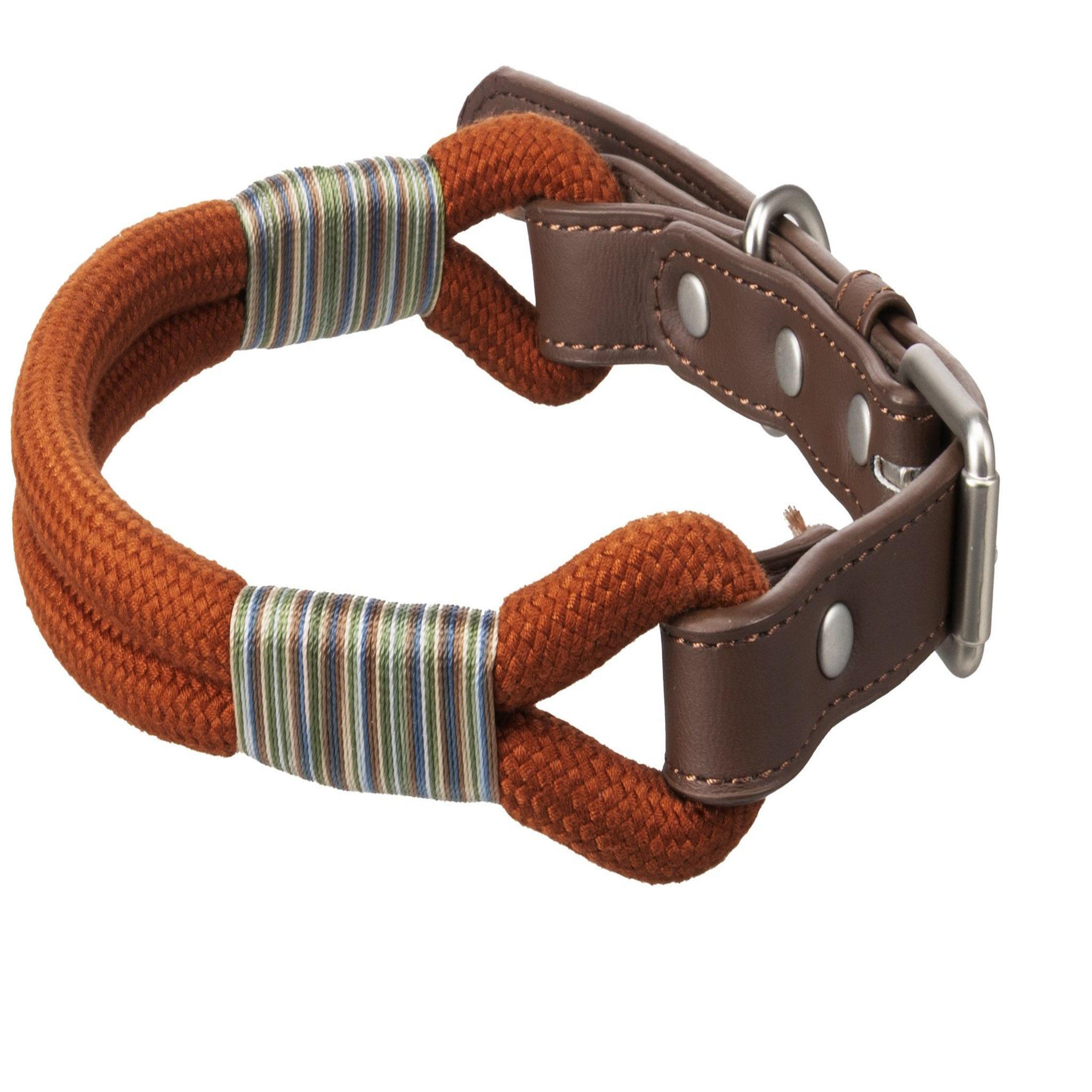 Voir la diapositive 3 : Eden Chien collier athos cognac