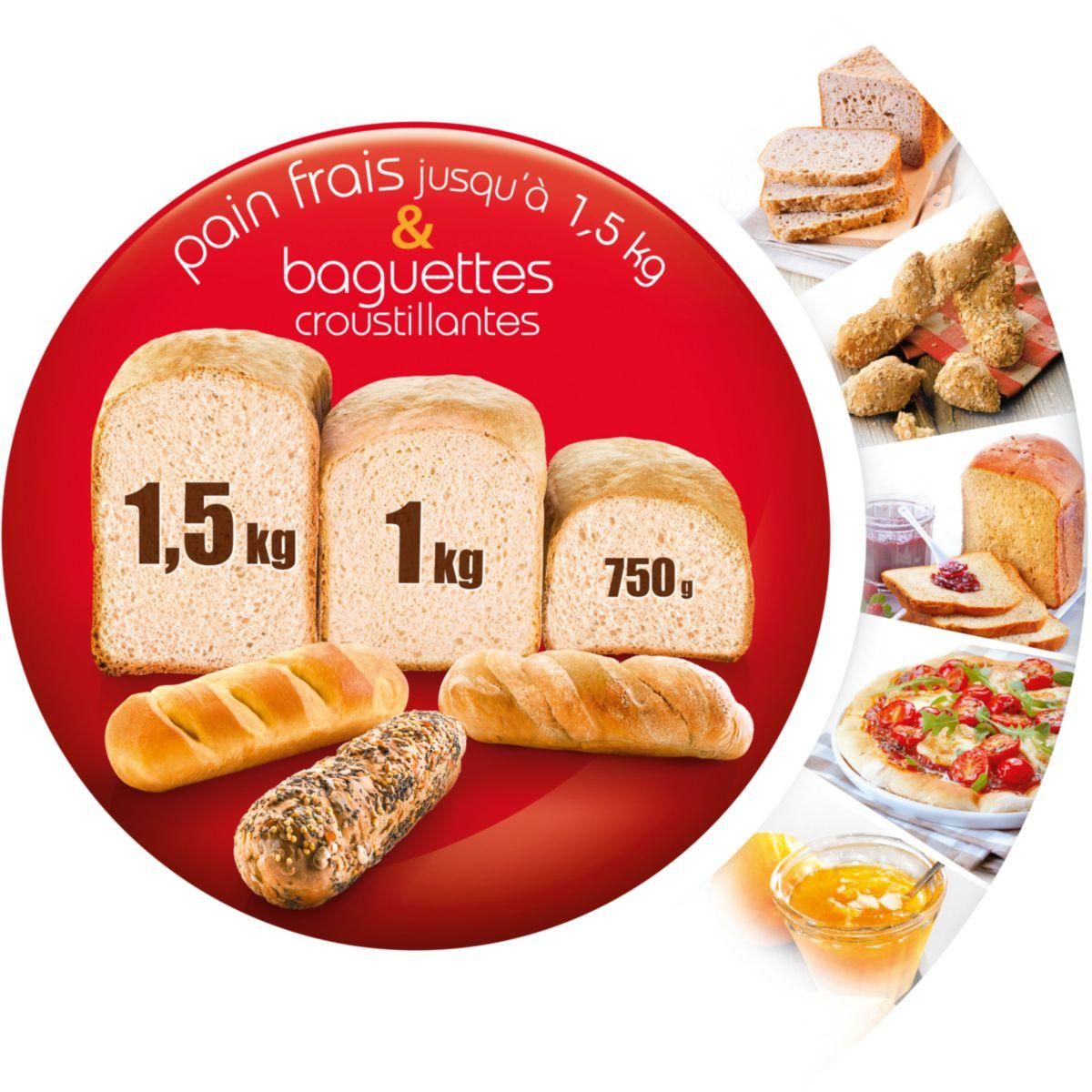 MOULINEX Machine à pain pains du monde OW611810