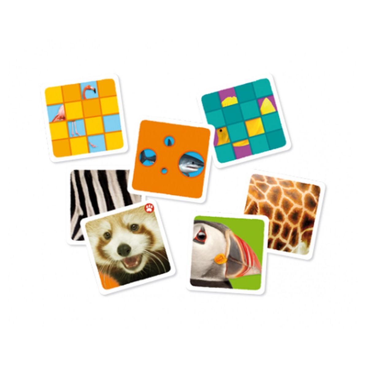 DISET Jeu Mission Animaux