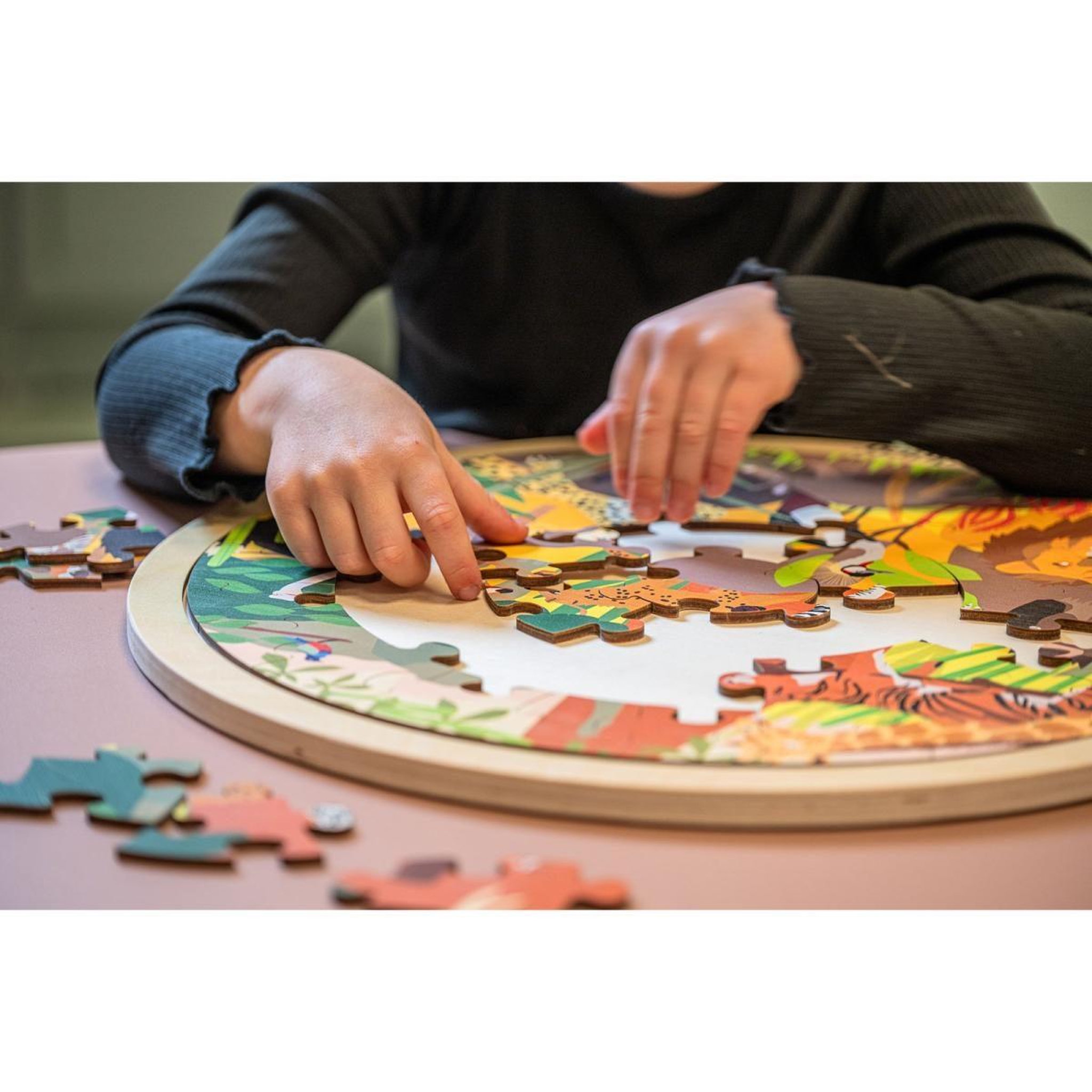 Voir la diapositive 2 : EDUCO Habitats - savane — 49 pièces de puzzle