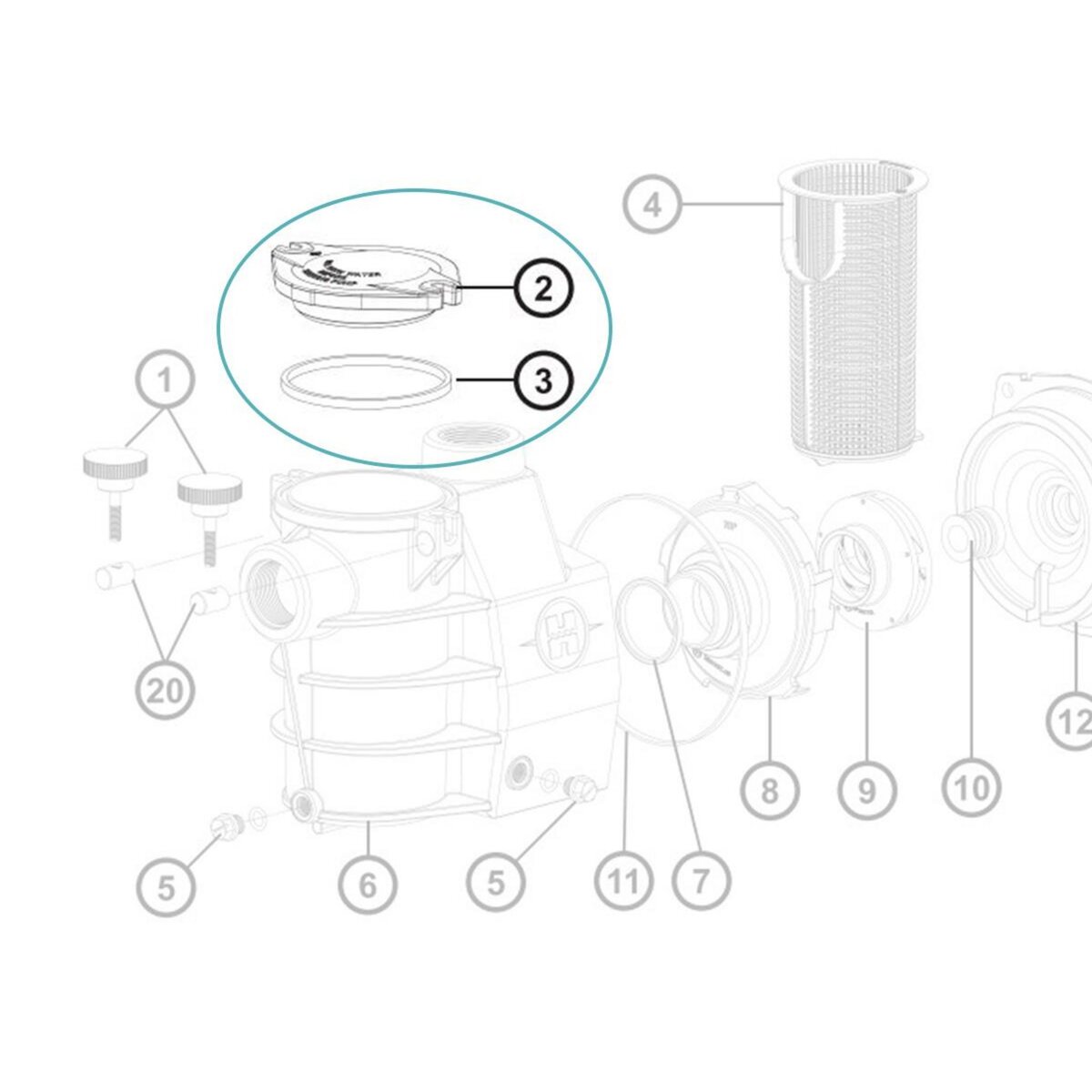 Hayward Couvercle et joint de préfiltre pour pompe Max Flo - Hayward