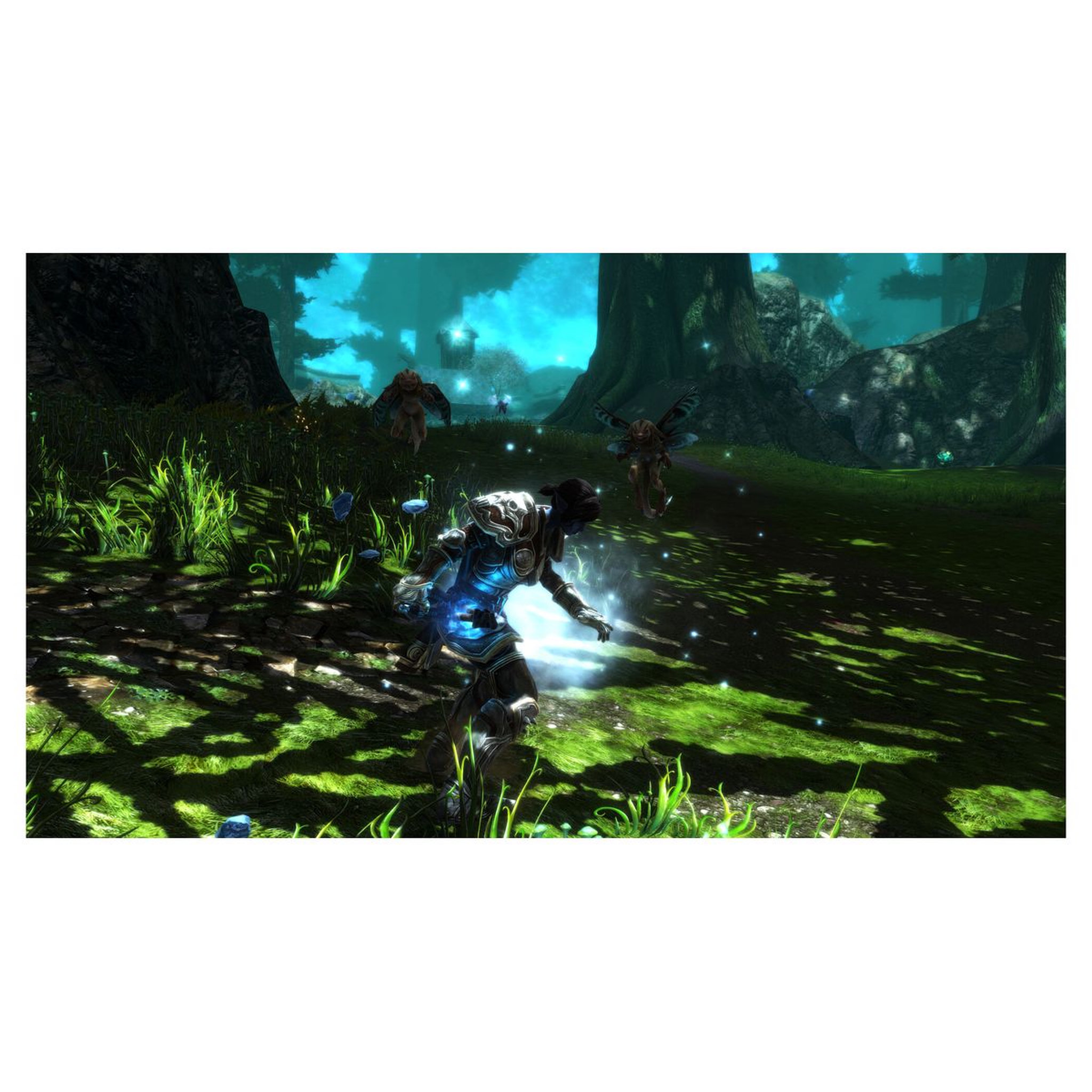 Voir la diapositive 6 : Kingdoms of Amalur Re-Reckoning Edition Collector Xbox One