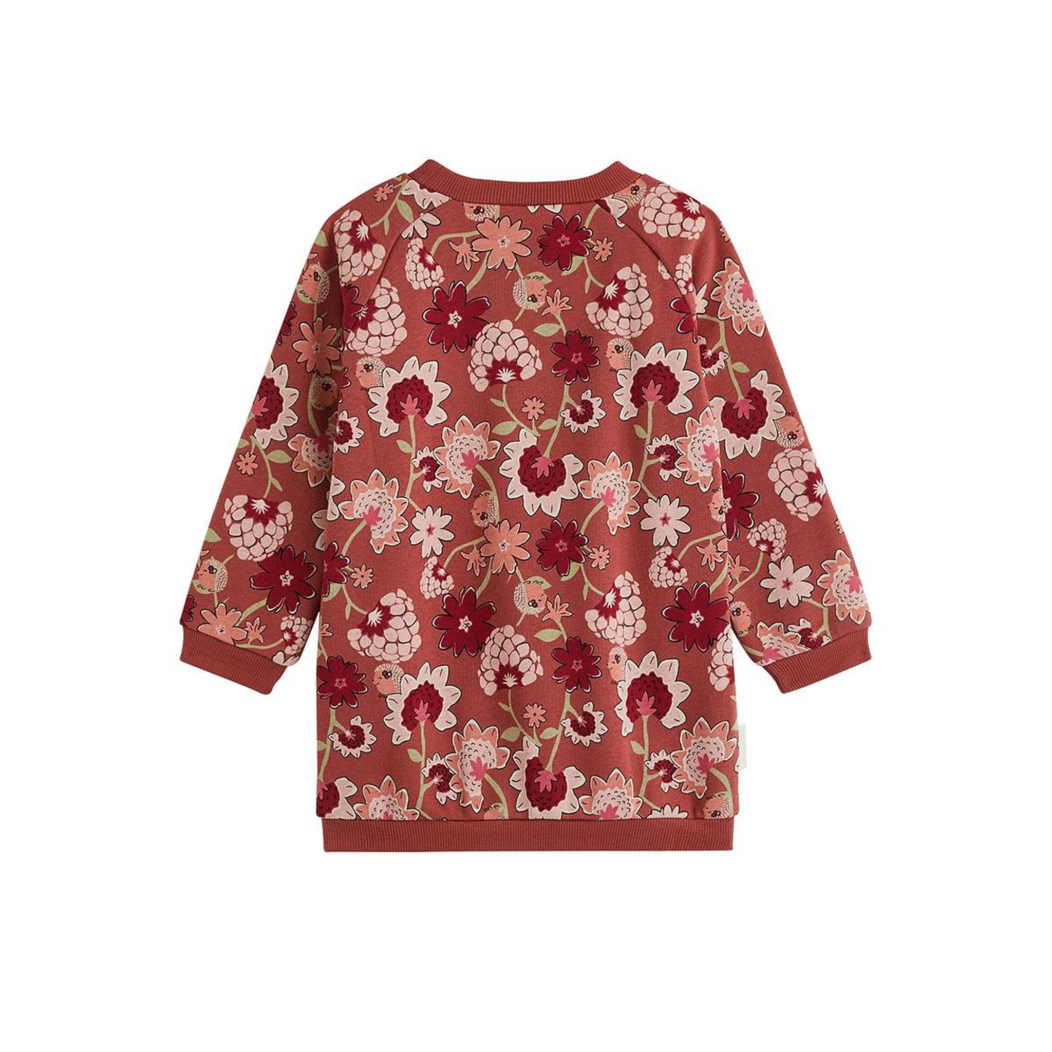 Voir la diapositive 2 : PETIT BEGUIN Robe enfant en molleton harmony