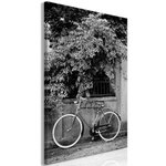 Paris Prix Tableau Imprimé  Bicycle & Flowers. Coloris disponibles : Multicolore