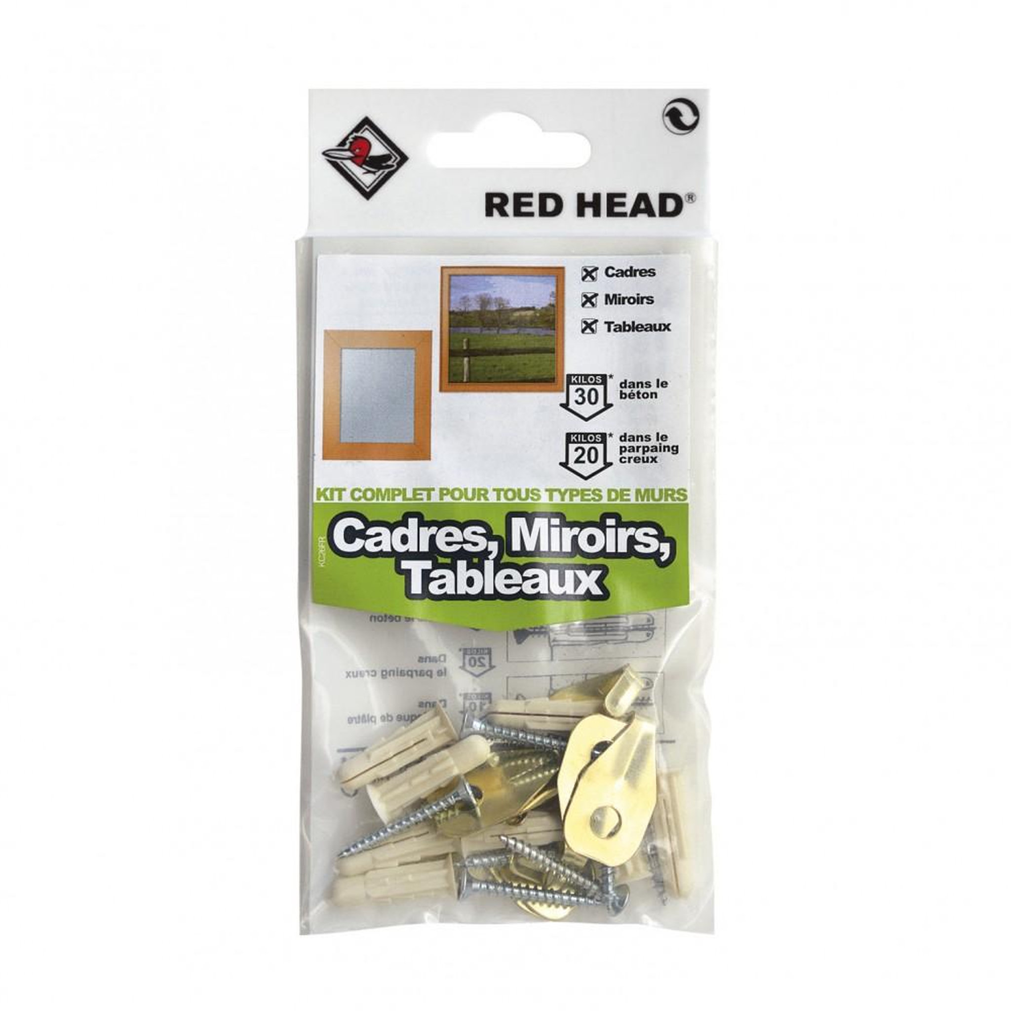 RED HEAD kit chevilles à expansion cadre, miroir et tableau RED HEAD, Diam.6 x L.25 mm