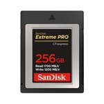SANDISK Carte Extreme Pro SanDisk CFexpress type B 256 Go