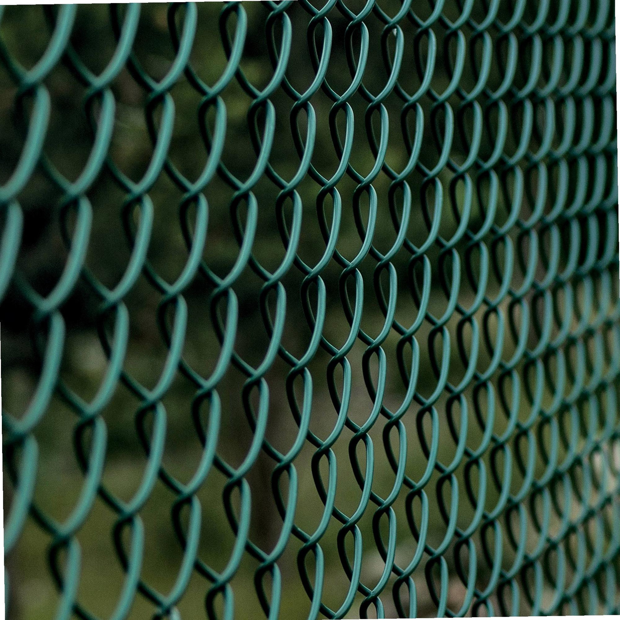 Voir la diapositive 2 : WERKAPRO Grillage maille losange vert 25m Werka Pro