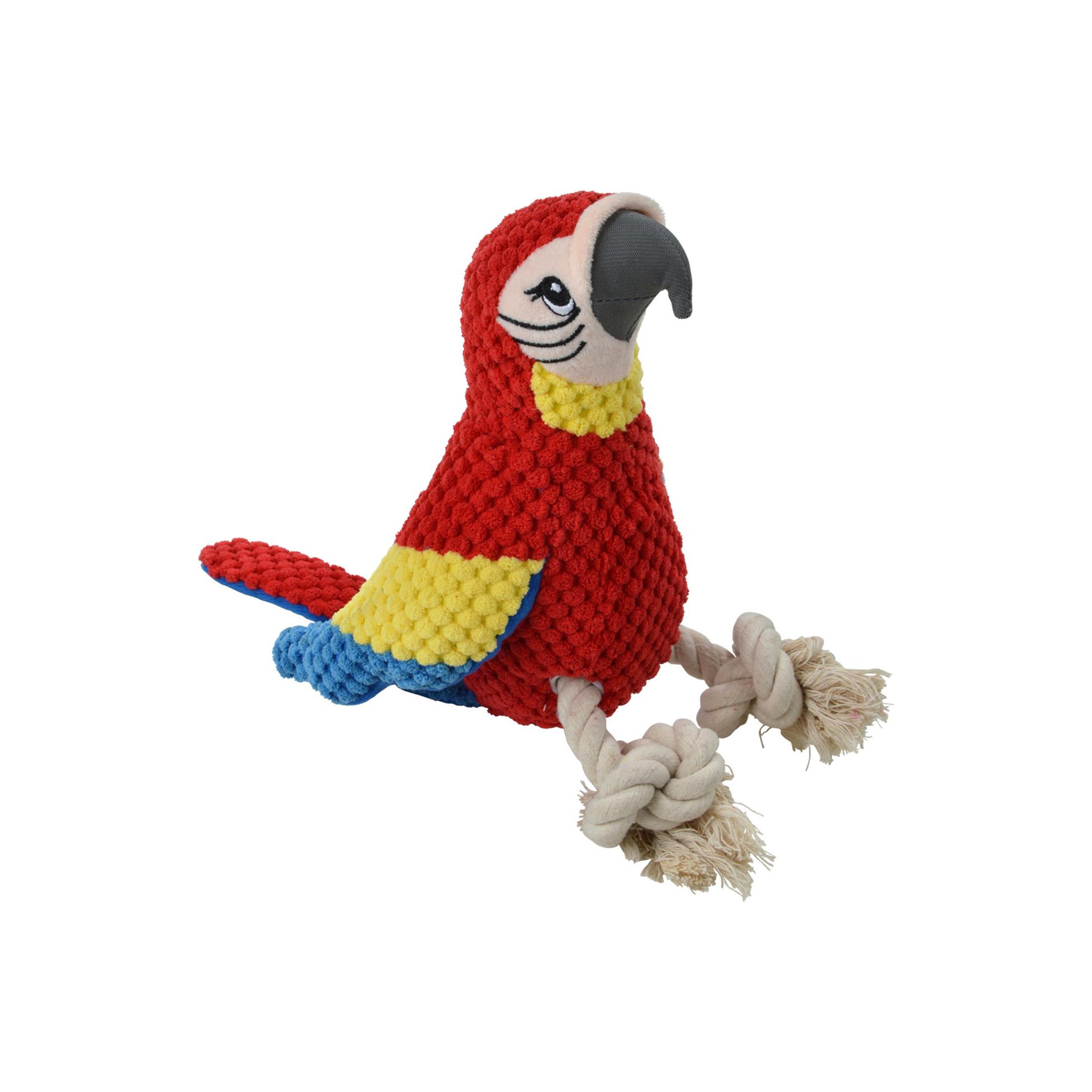 Eden Jeu peluche mateo le perroquet corde pour chien