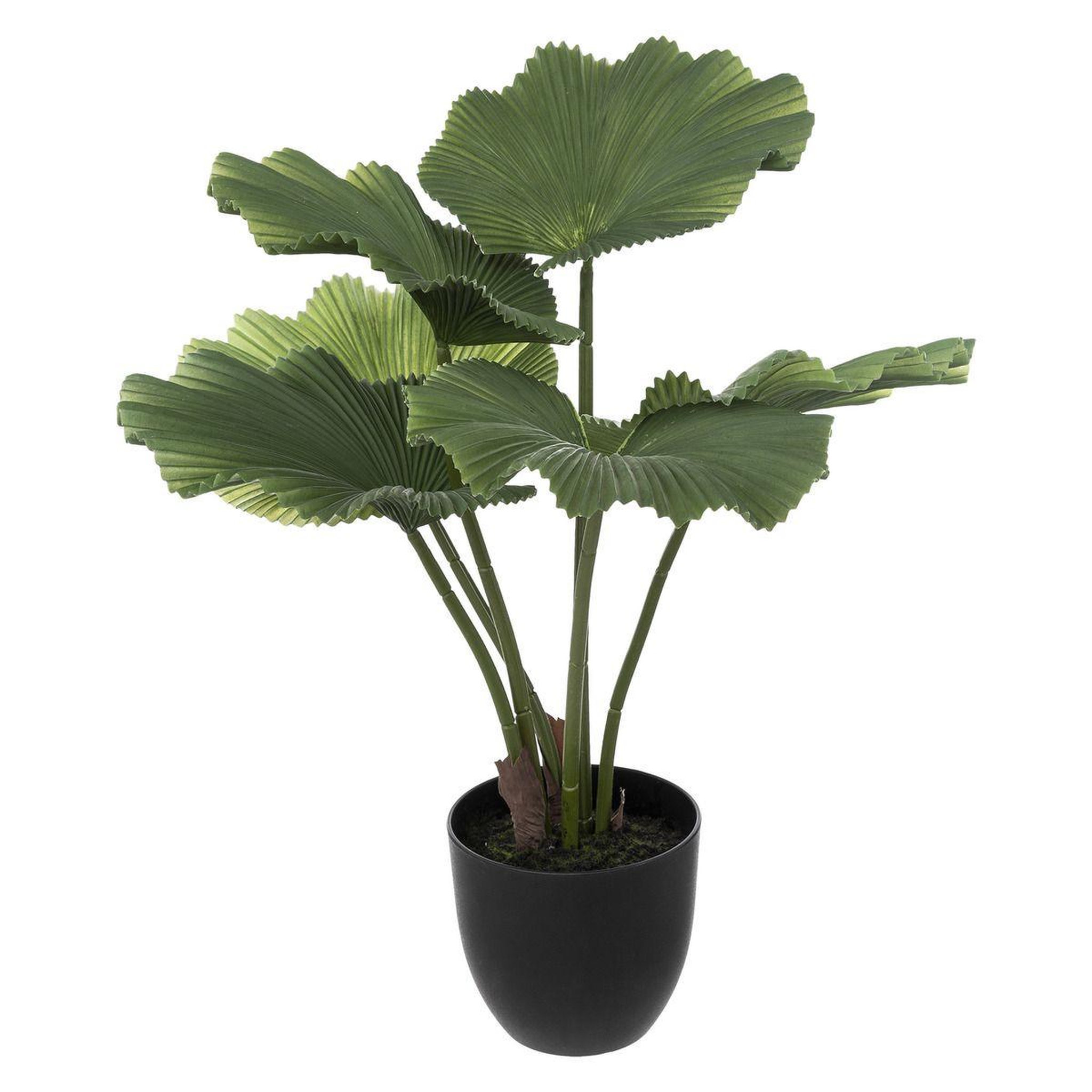 ATMOSPHERA Plante artificielle déco  palmier  65cm vert & noir