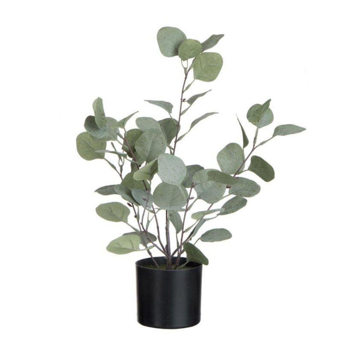 Paris Prix Plante Artificielle en Pot  Eucalyptus  43cm Vert
