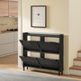 Voir la diapositive 5 : SOBUY Armoire à chaussures pliante Noir 97x46x93cm FSR100-E-SCH