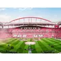 Smartbox Visite du musée Sport Lisboa e Benfica avec écharpe offerte - Coffret Cadeau Sport & Aventure