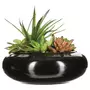 ATMOSPHERA Composition Florale  Vase Céramique  20cm Noir