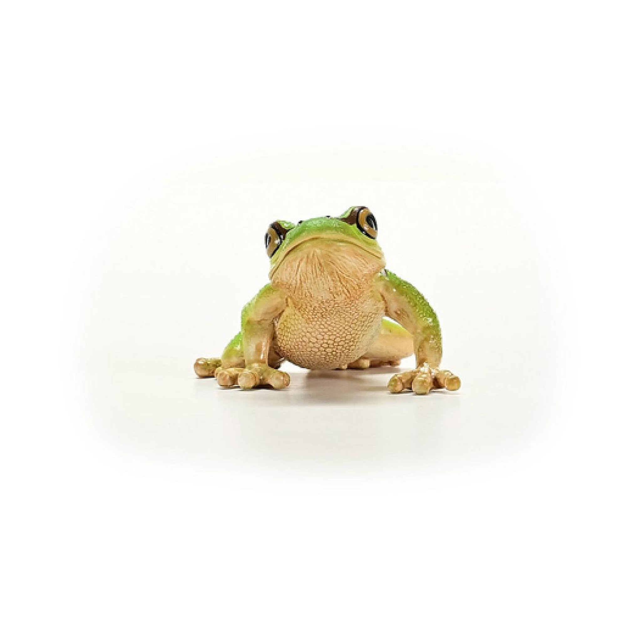 Voir la diapositive 4 : Schleich 14882 figurine Rainette Verte