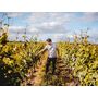 Voir la diapositive 2 : Smartbox Visite et dégustation de vins en duo près de Versailles - Coffret Cadeau Gastronomie