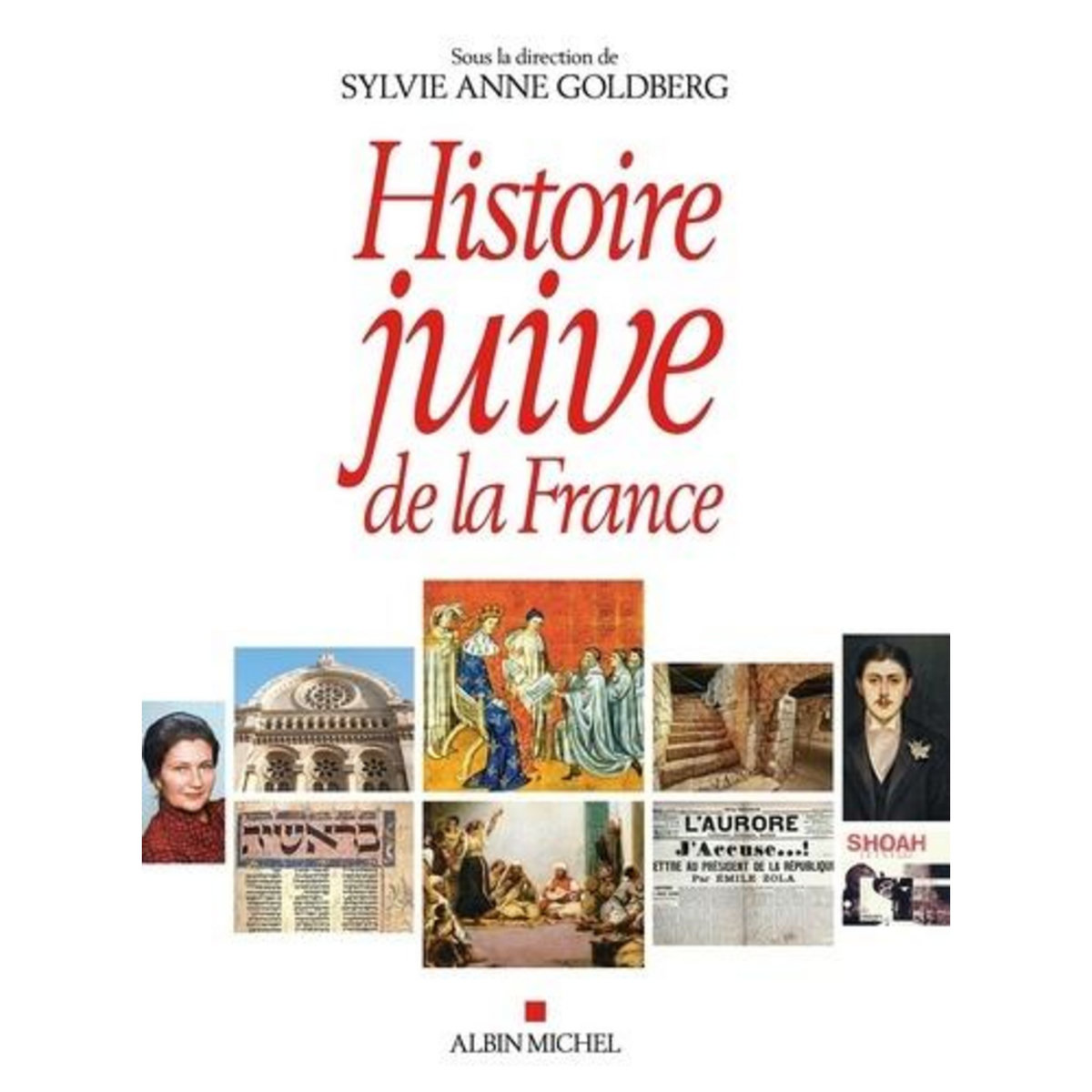 HISTOIRE JUIVE DE LA FRANCE, Goldberg Sylvie Anne