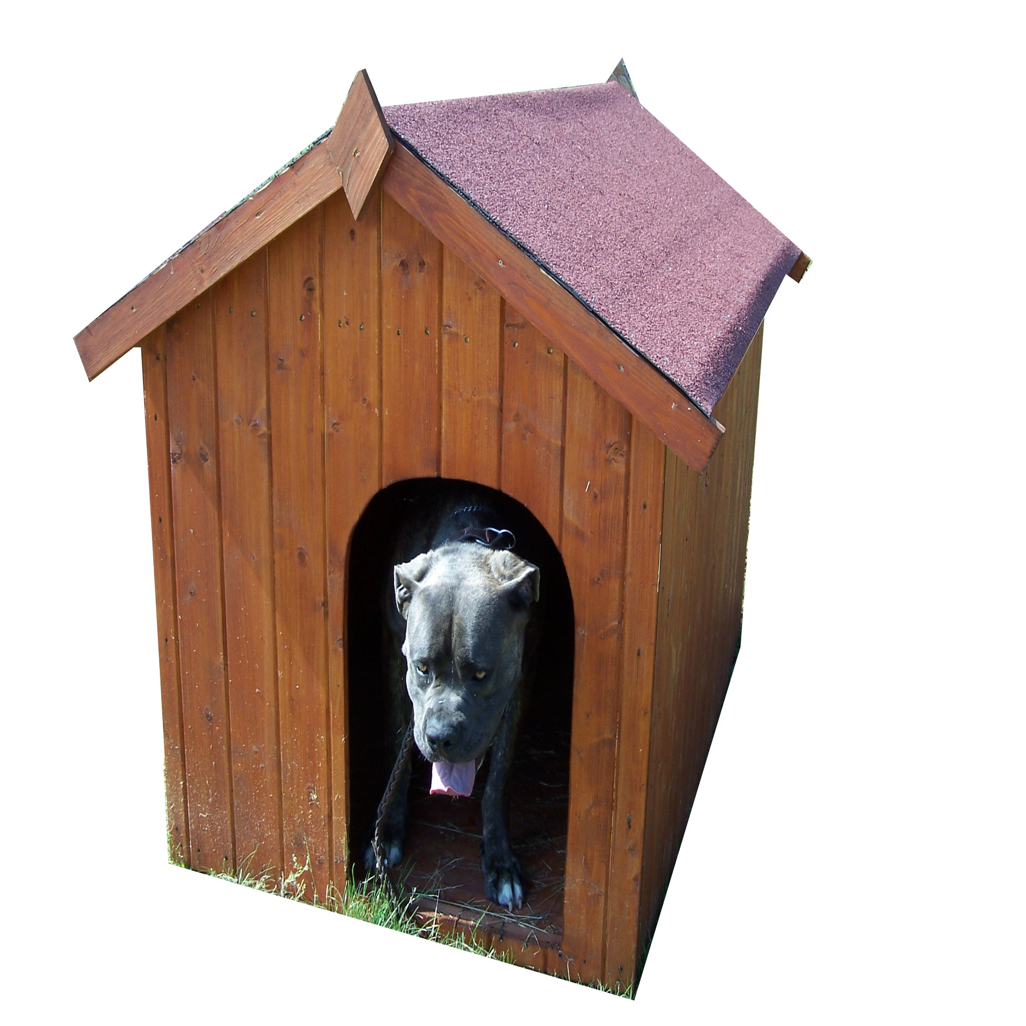 Niche pour gros chiens Farven