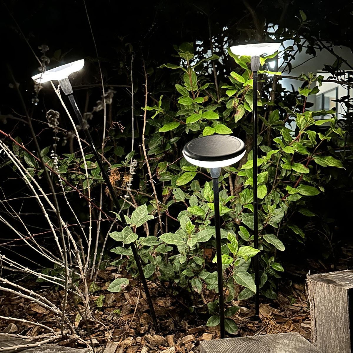 Lumisky Lot de 4 balises solaires LUCENTY Noir Plastique H76 cm