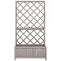 Voir la diapositive 2 : VIDAXL Jardiniere a treillis de jardin Gris 70x30x135 cm Bois de sapin