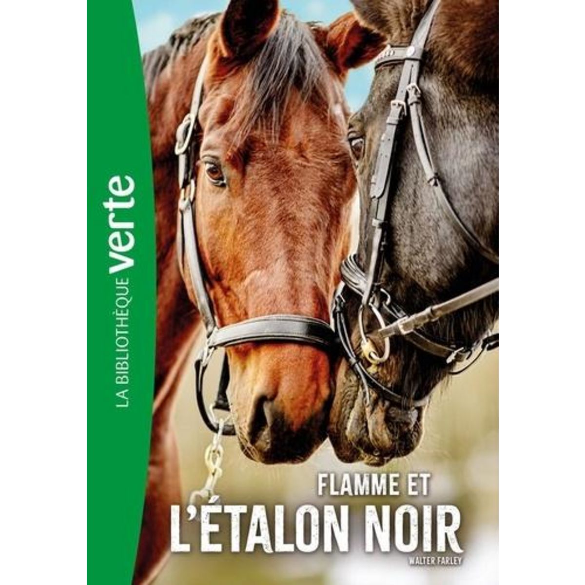 L'ETALON NOIR TOME 17 : FLAMME ET L'ETALON NOIR, Farley Walter