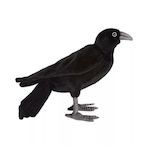 Hansa Corbeau 18cmH - Anima